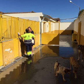 C’s Badajoz denuncia la situación de la perrera municipal y pide que se paralicen los sacrificios